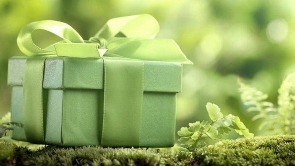 10 idées de cadeaux respectueux de l'environnement